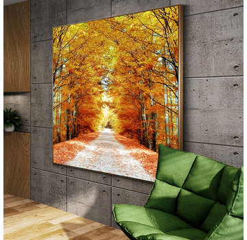 Allernieuwste.nl® Canvas Schilderij * Prachtig Herfst Bos * - Kunst aan je Muur - Romantisch Realistisch - Kleur - 60 x 60 cm