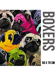 Allernieuwste.nl® Canvas Schilderij Kleurige Boxers Mopshonden Graffiti - Kleur - Dieren grafitti - 50 x 70 cm