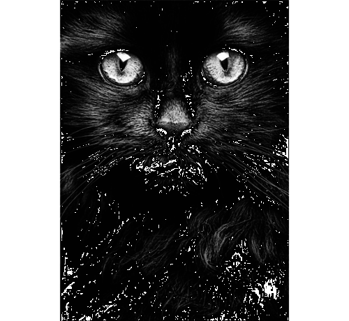 Allernieuwste.nl® Allernieuwste.nl® Canvas Schilderij Zwarte Kat Poes Kater - Realistisch - Woonkamer - Poster -  50 x 75 cm - Zwart-Wit