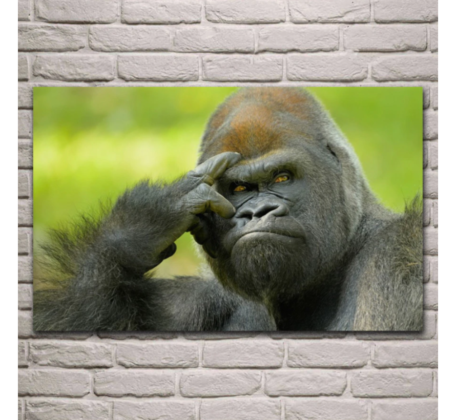 Allernieuwste.nl® Canvas Schilderij Gorilla Aap Mannetje - Dierenrijk - Kunst - Poster - 50 x 75 cm - Kleur