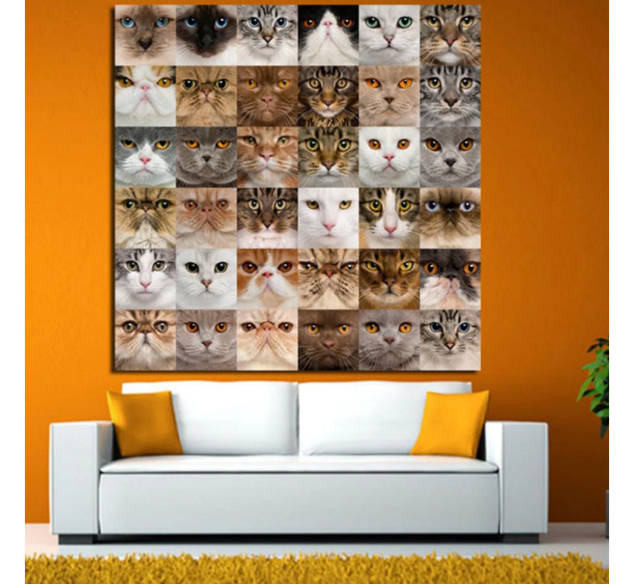 Canvas Schilderij * 36x Kittens voor Katten Liefhebbers * - Kunst aan je Muur - Kattenposter - kleur - 70 x 70 cm