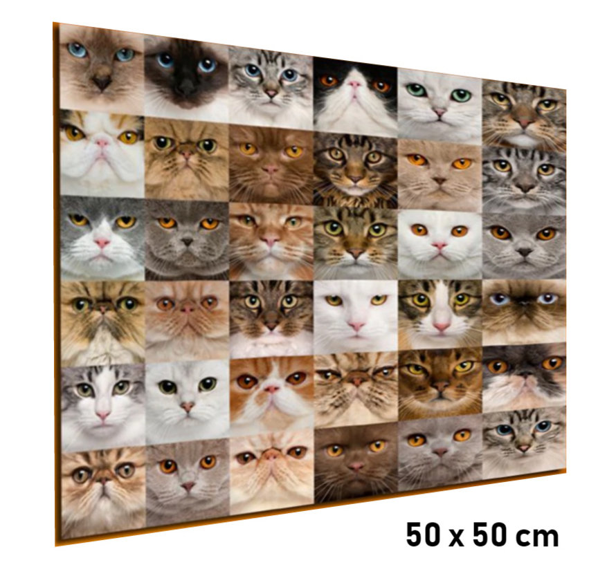 Canvas Schilderij * 36x Kittens voor Katten Liefhebbers * - Kunst aan je Muur - Kattenposter - kleur - 70 x 70 cm