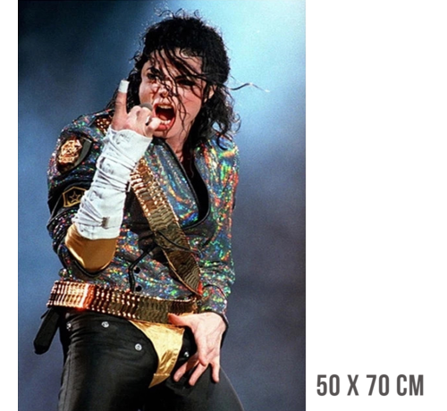 Allernieuwste.nl® Allernieuwste.nl® Canvas Schilderij Michael Jackson King of Pop - Zanger Songwriter Danser - Kleur - 50 x 70 cm