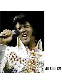 Allernieuwste.nl® Canvas Schilderij Elvis Presley in Concert - 40x60cm