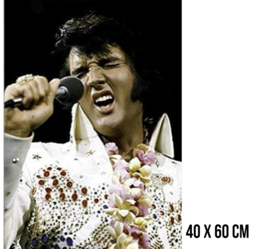 Allernieuwste.nl® Canvas Schilderij Elvis Presley in Concert - 40x60cm