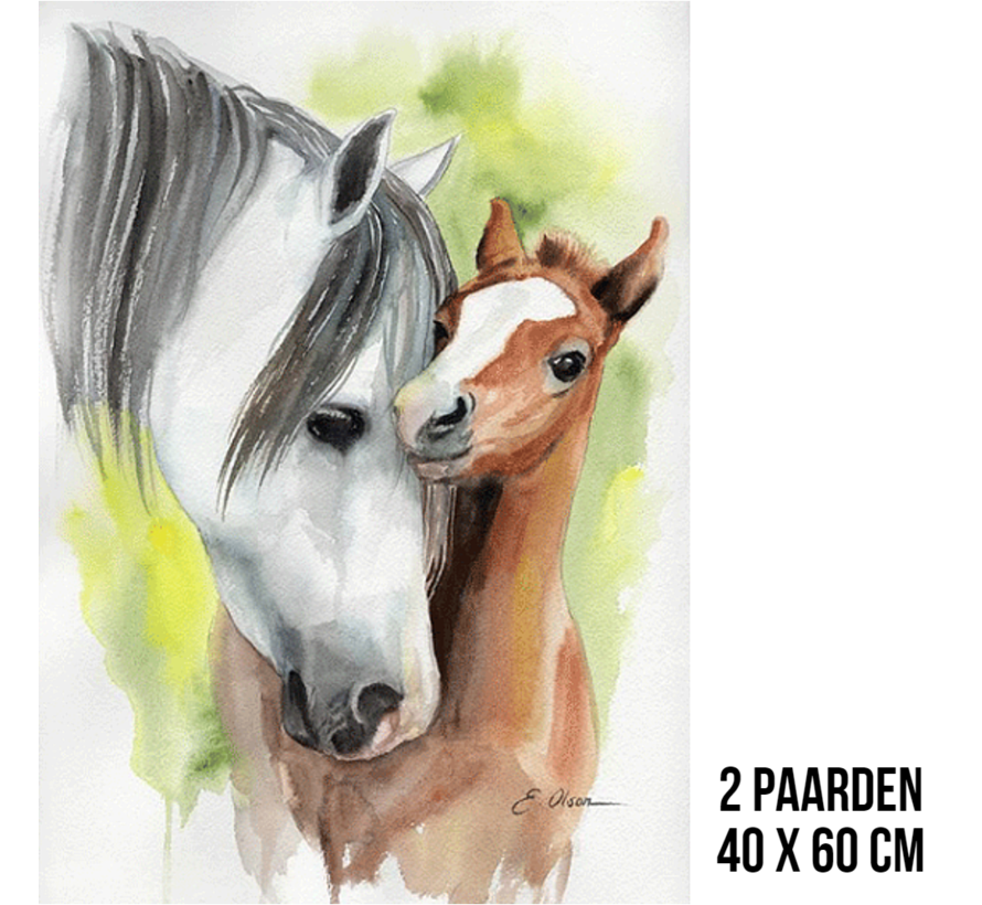 Allernieuwste.nl® Canvas Schilderij Twee Paarden - Paardenliefde - Paard -  kleur - 40 x 60 cm