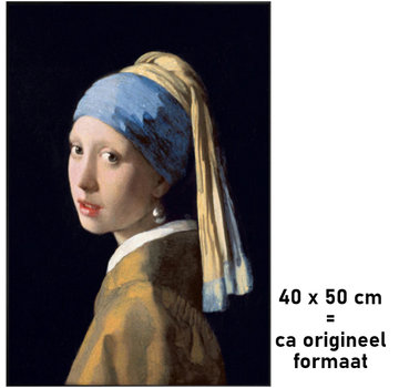 Allernieuwste.nl® Canvas Schilderij Johannes Vermeer Meisje met de Parel 40 x 50 cm