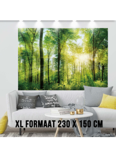Allernieuwste.nl® Wandkleed Voorjaars Bos - 230 x 150 cm