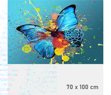 Allernieuwste.nl® Canvas Schilderij Reuze Vlinder Grafitti - 70 x 100 cm