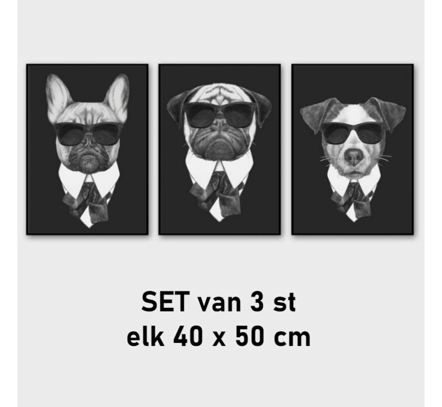 Allernieuwste.nl® Set van 3 st Canvas Schilderij Maffia Honden met Zonnebril - Woonkamer - Modern - Poster - 3-luik - 40 x 50 cm - Zwart-Wit