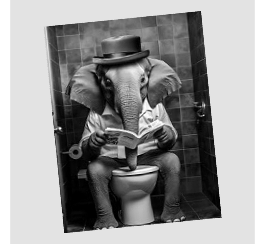 Allernieuwste.nl® Canvas Schilderij Olifant Leest Krant op WC - Humor Grappig - Zwart Wit 30 x 40 cm