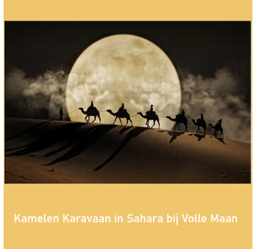 Allernieuwste.nl® Canvas Schilderij Kamelen Karavaan in Sahara bij Volle Maan - 70 x 100 cm