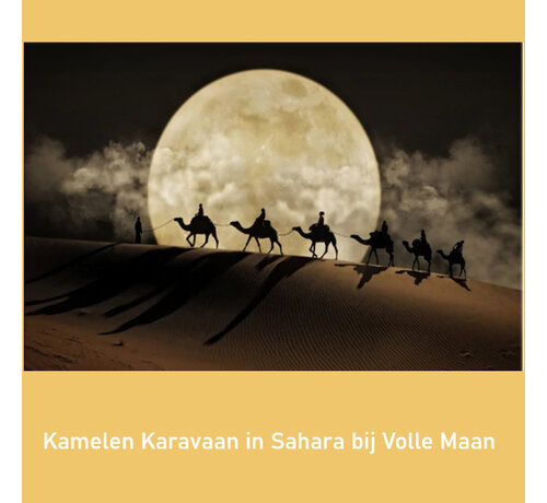Allernieuwste.nl® Allernieuwste.nl® Canvas Schilderij * Kamelen Karavaan in Sahara bij Volle Maan * - Modern Romantisch - kleur - 70 x 100 cm