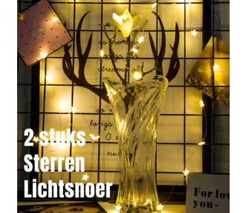 Allernieuwste.nl® 2 STUKS LED STERREN Lichtsnoer - Wit - 2 METER 20 Lampjes Elk