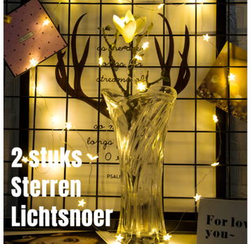 Allernieuwste.nl® 2 STUKS LED STERREN Lichtsnoer - Wit - 2 METER 20 Lampjes Elk