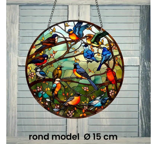 Allernieuwste.nl® Raamhanger Raamdecoratie Vogelpracht Tropische Vogels - Kleurige Zonnevanger Rond Acryl met Ketting - Suncatcher Rond model 15 cm %%