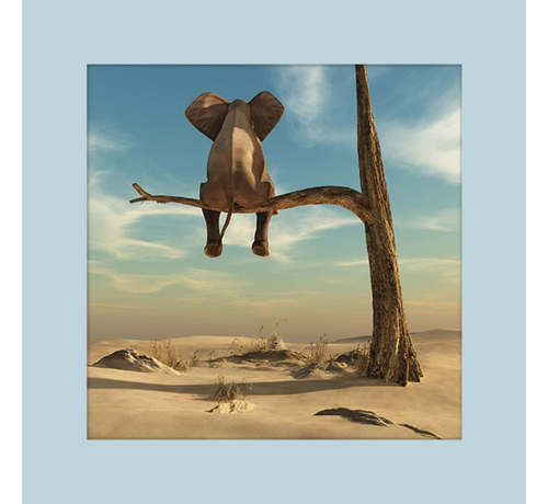 Allernieuwste.nl® Allernieuwste.nl® Canvas Schilderij Kleine Olifant - Funny Little Elephant - 60 x 60 cm - Modern Abstract - Kleur