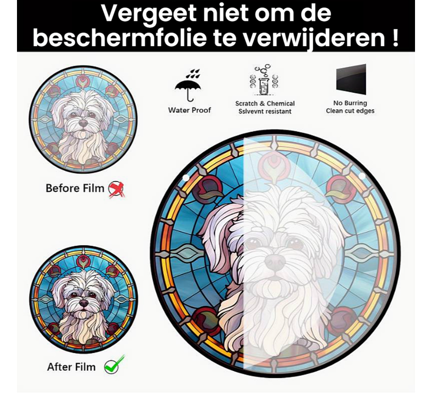 Raamhanger Raamdecoratie Maltezer Hond - Kleurige Zonnevanger Rond Acryl met Ketting - Honden - Suncatcher Rond model 15 cm %%