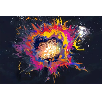 Allernieuwste.nl® Canvas Schilderij Kleur Explosie op Zwarte Achtergrond 2 - 70 x 100 cm