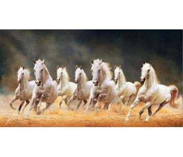 Allernieuwste.nl® Canvas Schilderij 7 Witte Renpaarden - 60 x 100 cm
