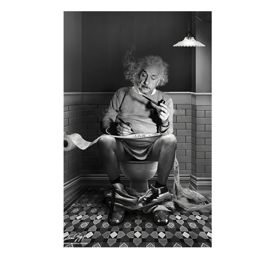 Allernieuwste.nl® Canvas Schilderij Einstein op de WC - Humor - Badkamer - 30 x 40 cm - Zwart/Wit