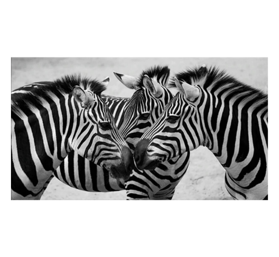 Allernieuwste.nl® Canvas Schilderij * 3 Zebra's ZwartWit - Kunst aan je Muur - Grafitti-Art - Zwart-Wit - 40 x 70 cm