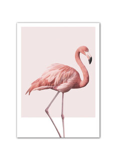 Allernieuwste.nl® Canvas Schilderij Grote Roze Flamingo - 60 X 80 cm