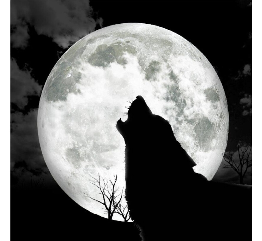 Allernieuwste.nl® Canvas Schilderij * Huilende Wolf bij Maan * - Kunst aan je Muur - Realistisch - Zwart Wit - 50 x 50 cm
