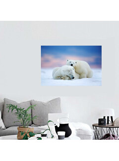 Allernieuwste.nl® Canvas Schilderij Slapende IJsberen in de Sneeuw - 30 x 45 cm