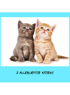 Allernieuwste.nl® Canvas Schilderij Twee Allerliefste Kittens - Katjes - 30 x 45 cm