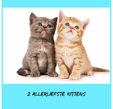 Allernieuwste.nl® Canvas Schilderij Twee Allerliefste Kittens - Katjes - 30 x 45 cm