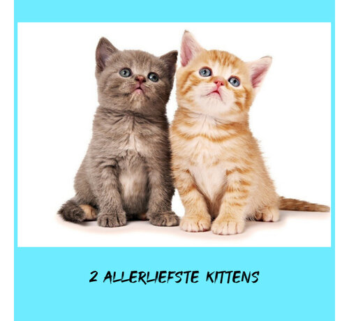 Allernieuwste.nl® Allernieuwste.nl® Canvas Schilderij - Twee Allerliefste Kittens - Katjes - Kunst aan je Muur - Realistisch - Veelkleurig - 30 x 45 cm
