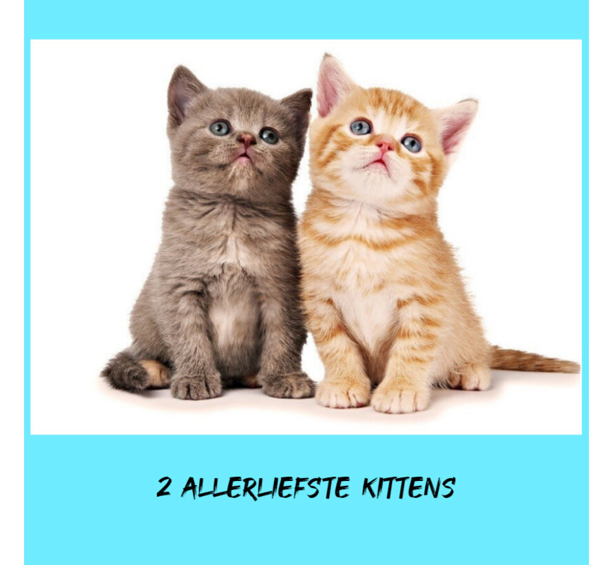 Allernieuwste.nl® Canvas Schilderij - Twee Allerliefste Kittens - Katjes - Kunst aan je Muur - Realistisch - Veelkleurig - 30 x 45 cm