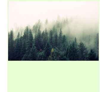 Allernieuwste.nl Canvas Schilderij Mistig Noors Bos - 50 x75 cm