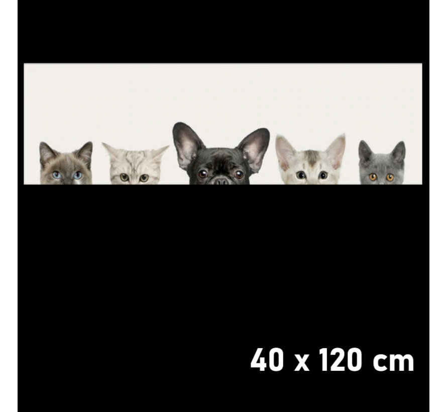 Allernieuwste.nl® Canvas Schilderij 4 Katten en 1 Hond - Kunst aan je Muur - Realistisch - kleur - 40 x 120 cm