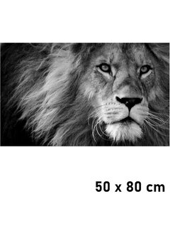 Allernieuwste.nl Canvas Schilderij leeuw met manen - 50 x 80 cm