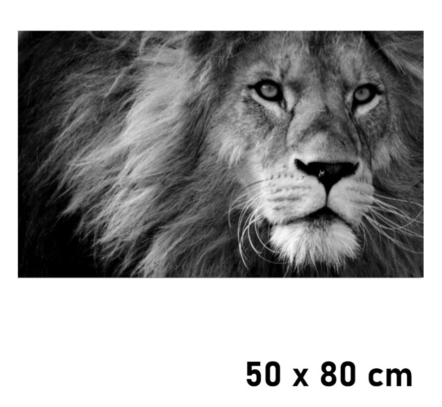 Allernieuwste.nl® Canvas Schilderij Leeuwenkop Met Manen - Kunst aan je Muur - Modern - Kleur - 50 x 80 cm
