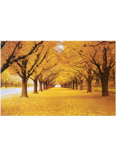 Allernieuwste.nl Canvas Schilderij Prachtige Herfst in het Bos - 70 x 100 cm