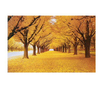 Allernieuwste.nl Canvas Schilderij Prachtige Herfst in het Bos - 70 x 100 cm