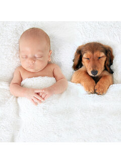Allernieuwste.nl Canvas Schilderij Slapende Baby en Puppy - 50 x 50 cm