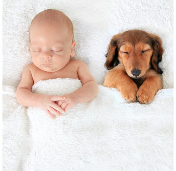 Allernieuwste.nl Canvas Schilderij Slapende Baby en Puppy - 50 x 50 cm