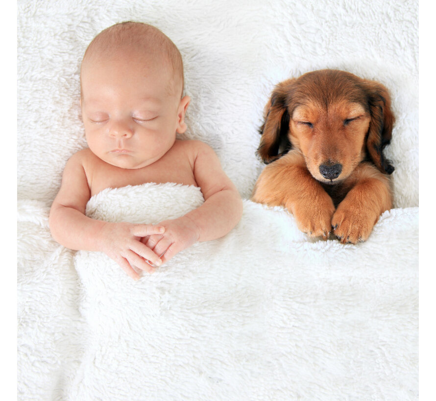 Allernieuwste.nl® Canvas Schilderij Slapende Baby en Puppy - Kunst aan je Muur - Romantisch - kleur - 50 x 50 cm