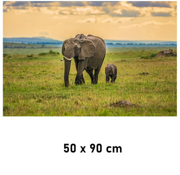 Allernieuwste.nl Canvas Schilderij Olifant met Babyjong Kalf - 50 x 90 cm