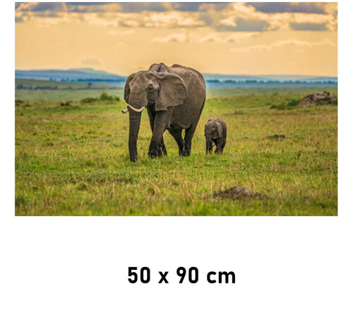 Allernieuwste.nl Allernieuwste.nl® Canvas Schilderij Olifant met Babyjong Kalf - Natuur - kleur - 50 x 90 cm