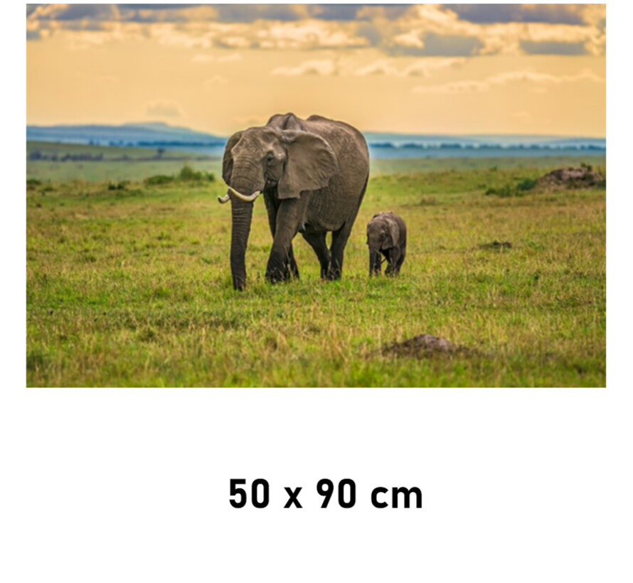 Allernieuwste.nl® Canvas Schilderij Olifant met Babyjong Kalf - Natuur - kleur - 50 x 90 cm