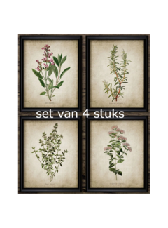 Allernieuwste.nl Canvas Schilderij 4-luik Keukenkruiden Vintage - 4st 30 x 40 cm