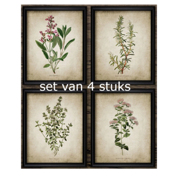 Allernieuwste.nl Canvas Schilderij 4-luik Keukenkruiden Vintage - 4st 30 x 40 cm