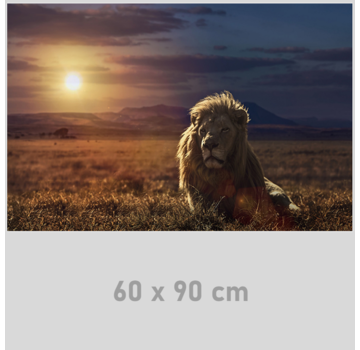 Allernieuwste.nl Canvas Schilderij Wilde Leeuw bij Zonsondergang in Afrika - 60 x 90 cm