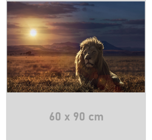 Allernieuwste.nl Allernieuwste.nl® Canvas Schilderij Wilde Leeuw bij Zonsondergang in Afrika - Modern - Kleur - 60 x 90 cm