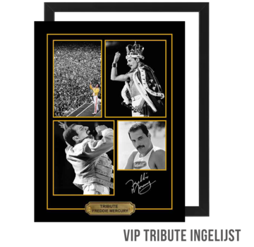 Nieuw Canvas Schilderij VIP Tribute Freddie Mercury Queen - INGELIJST - 30 x 40 cm